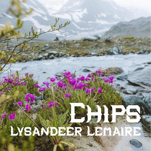 Chips