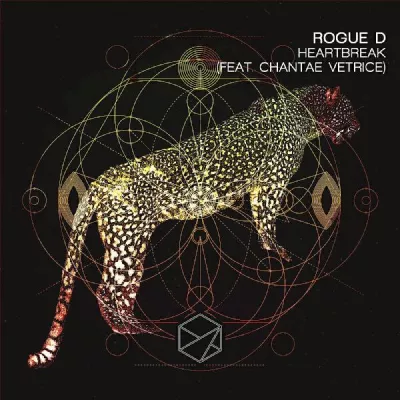 Rogue D