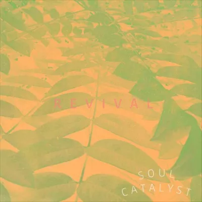Soul Catalyst