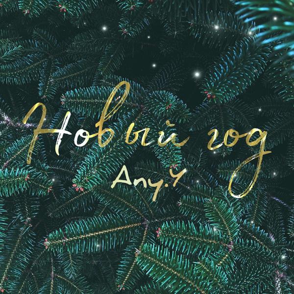 Альбом Новый год исполнителя Any.Y