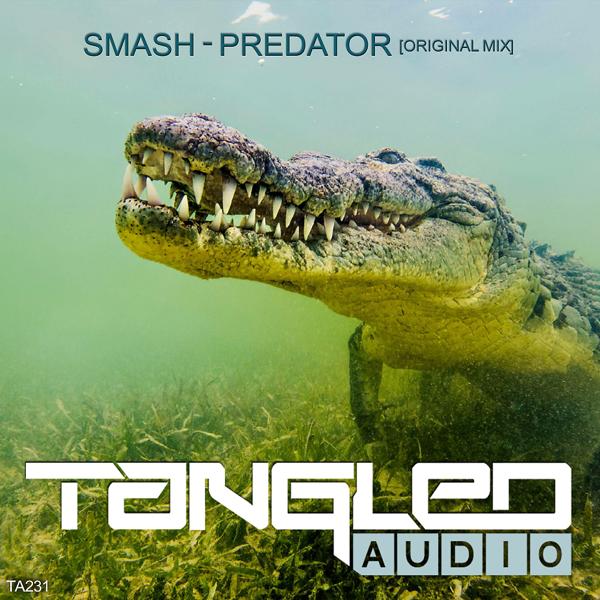 Smash - Predator