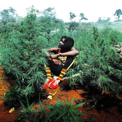 Peter Tosh все песни в mp3