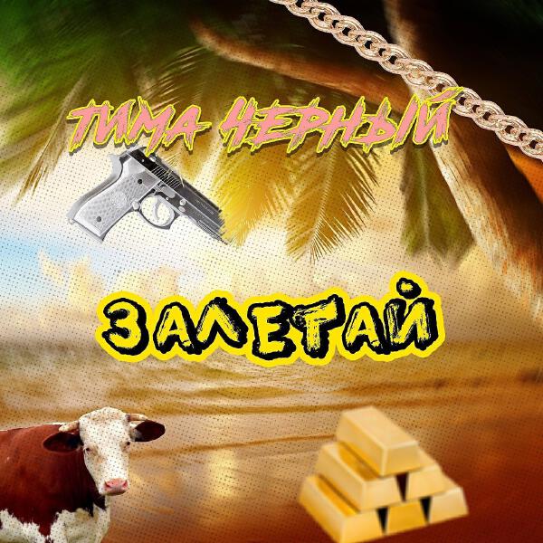 Тима Черный