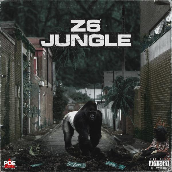 Z6 Jungle