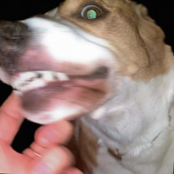 Медиа - Уловка