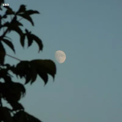 Harmless Night все песни в mp3