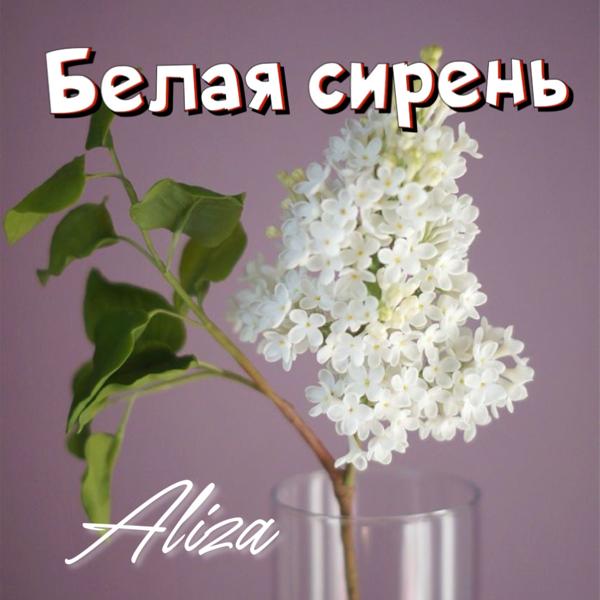 Aliza все песни в mp3