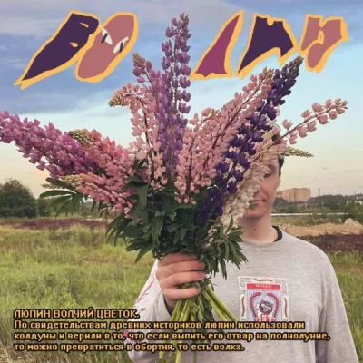 nochlej все песни в mp3
