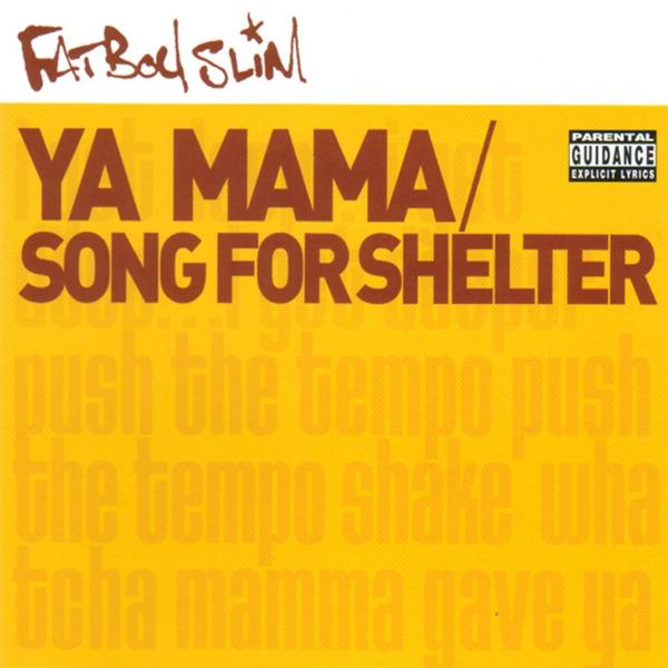 Fatboy Slim - Song for Shelter (The 20:20 Vision Rollin' Mix)