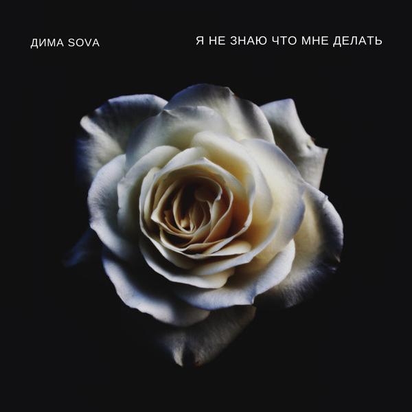 Sova - Я не знаю что мне делать