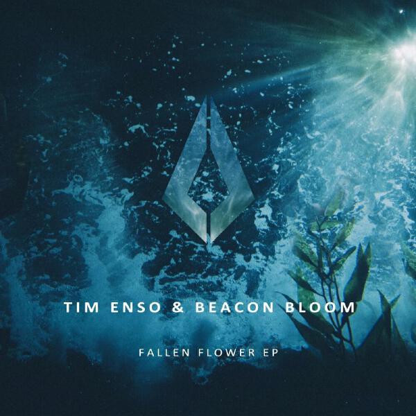 Beacon Bloom