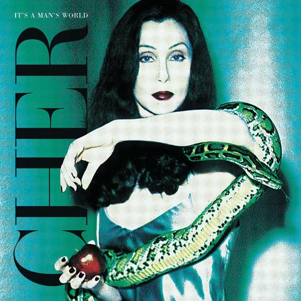 Cher - Not Enough Love in the World