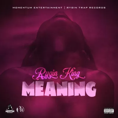 Rygin King