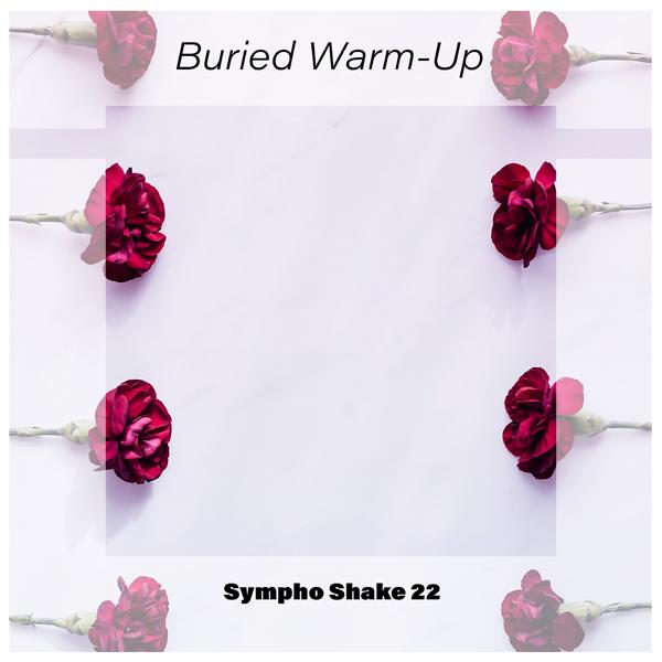 Альбом Buried Warm-Up Sympho Shake 22 исполнителя Various Artists