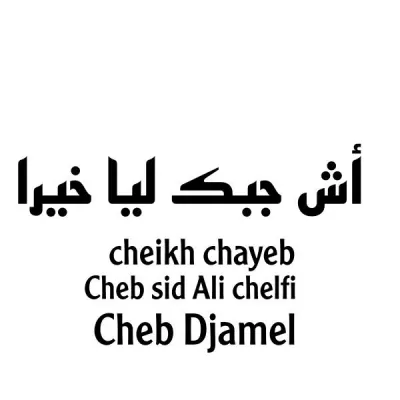 Cheb Djamel все песни в mp3