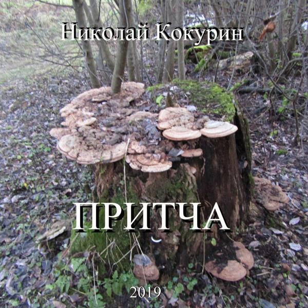 Николай Кокурин - Всё плохо