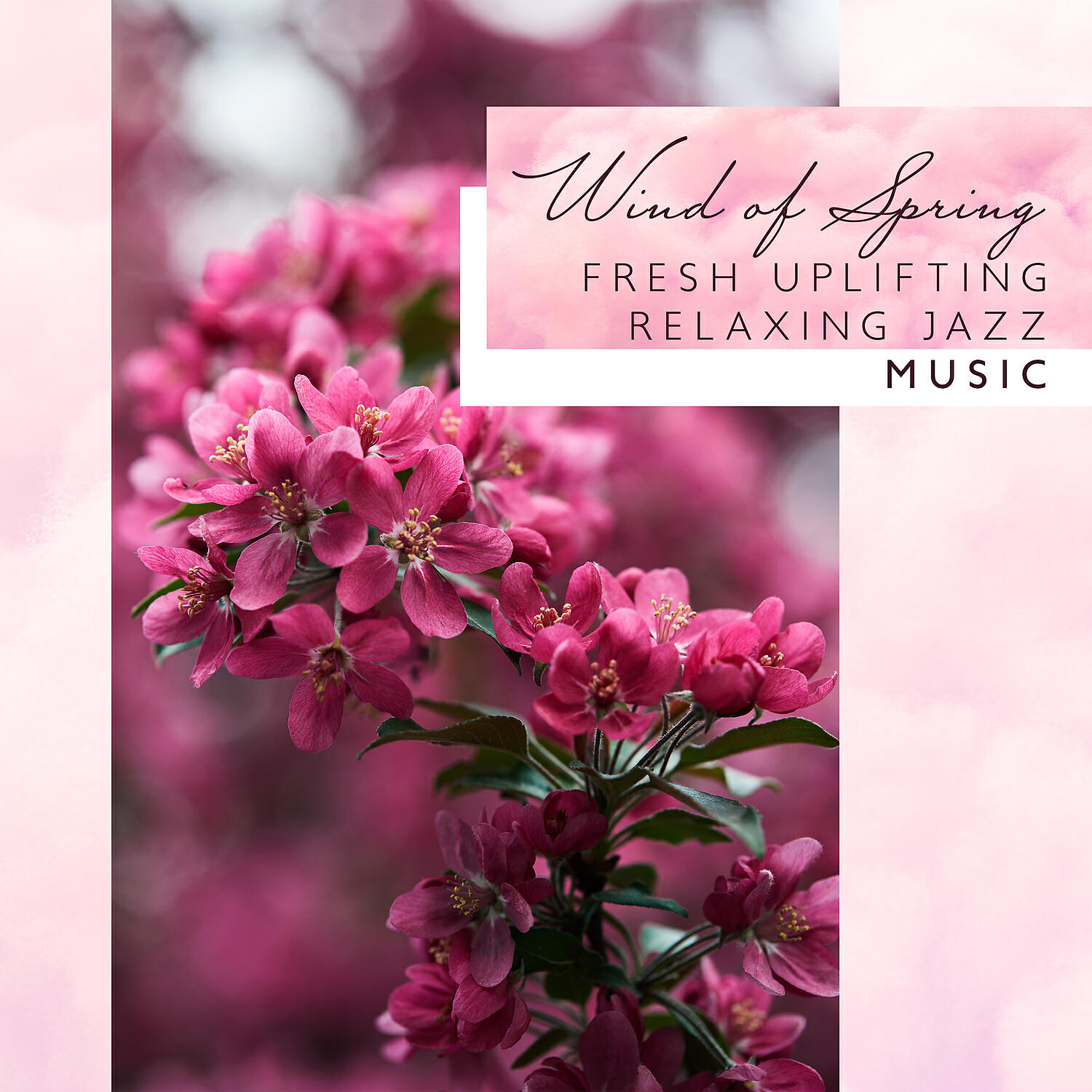 Relaxation Jazz Dinner Universe