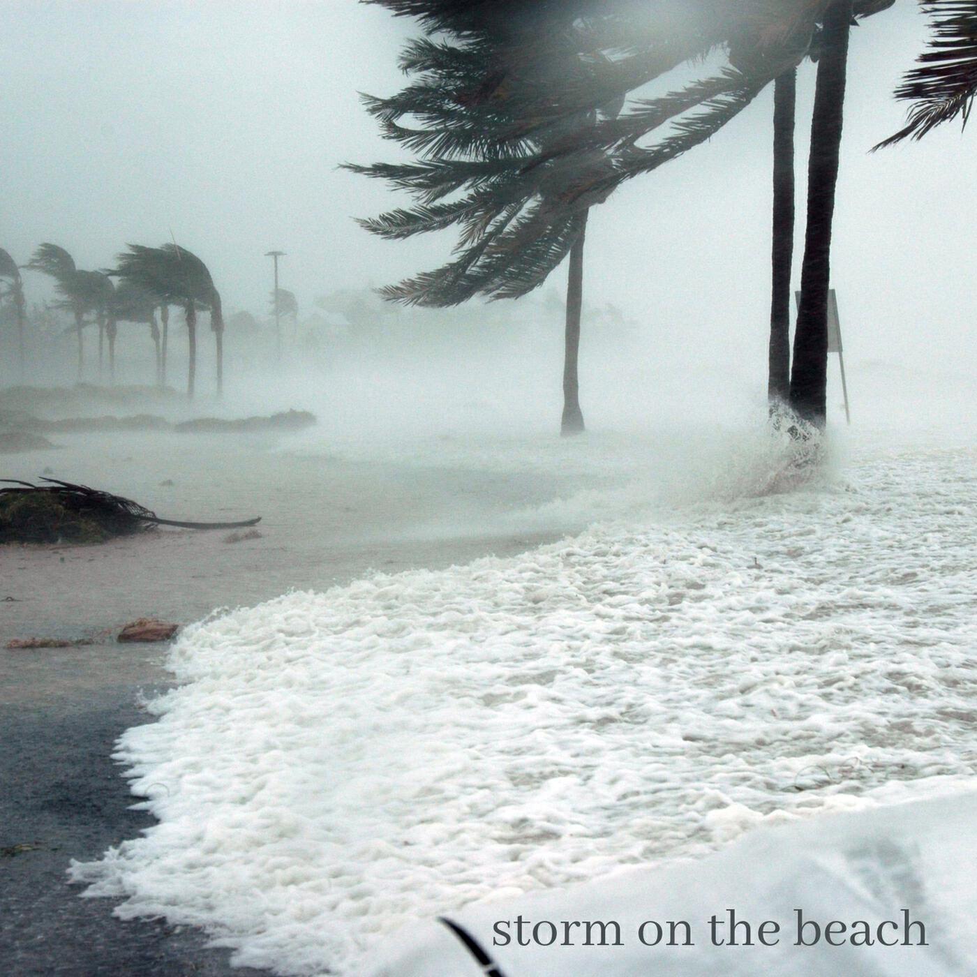 Альбом Storm on the Beach исполнителя Nature Of Sweden, Natures Acoustics, Nature Sounds