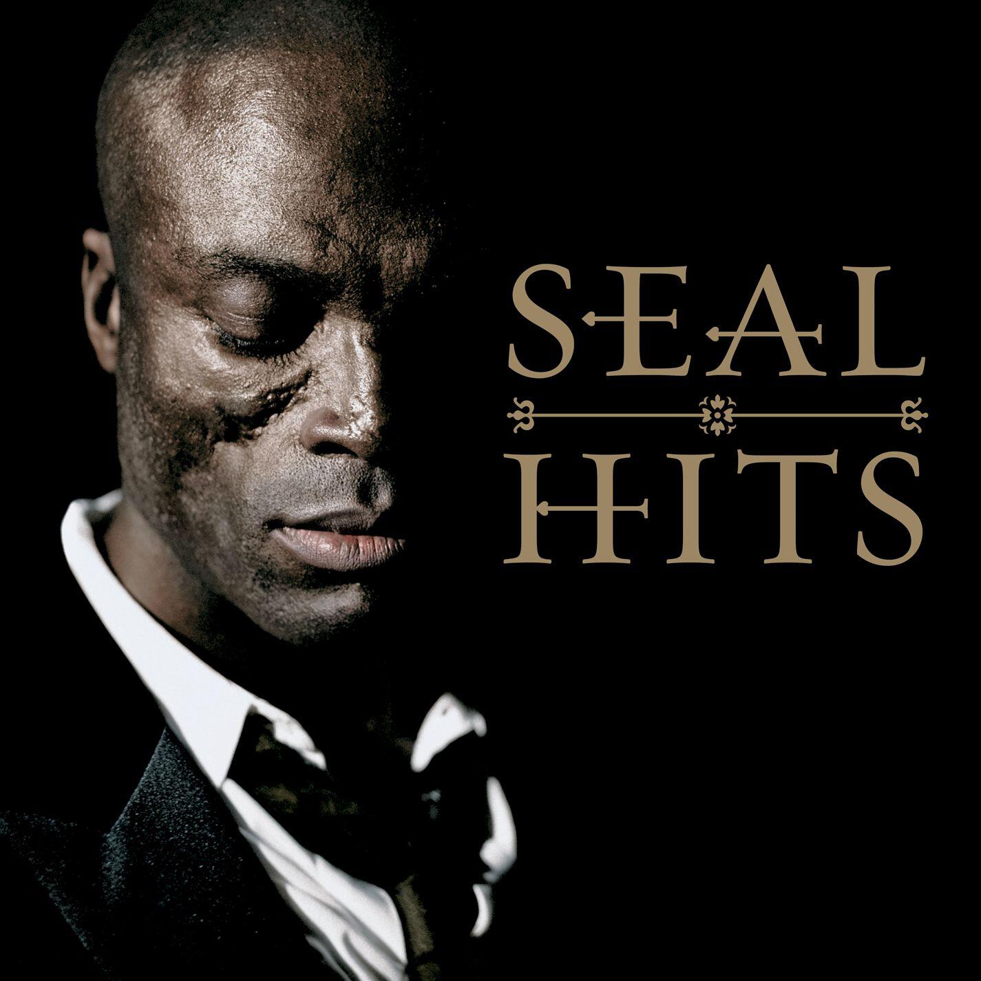 Seal - Amazing