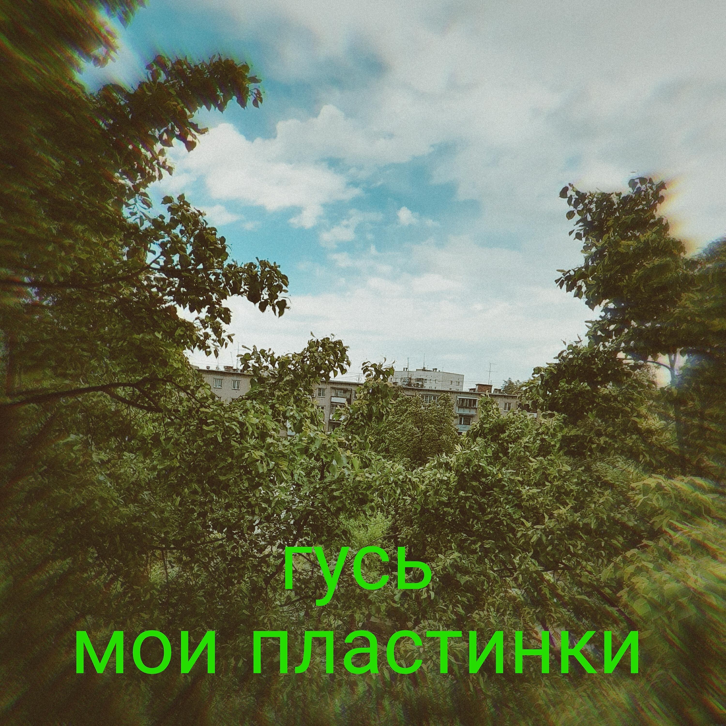 Мои пластинки