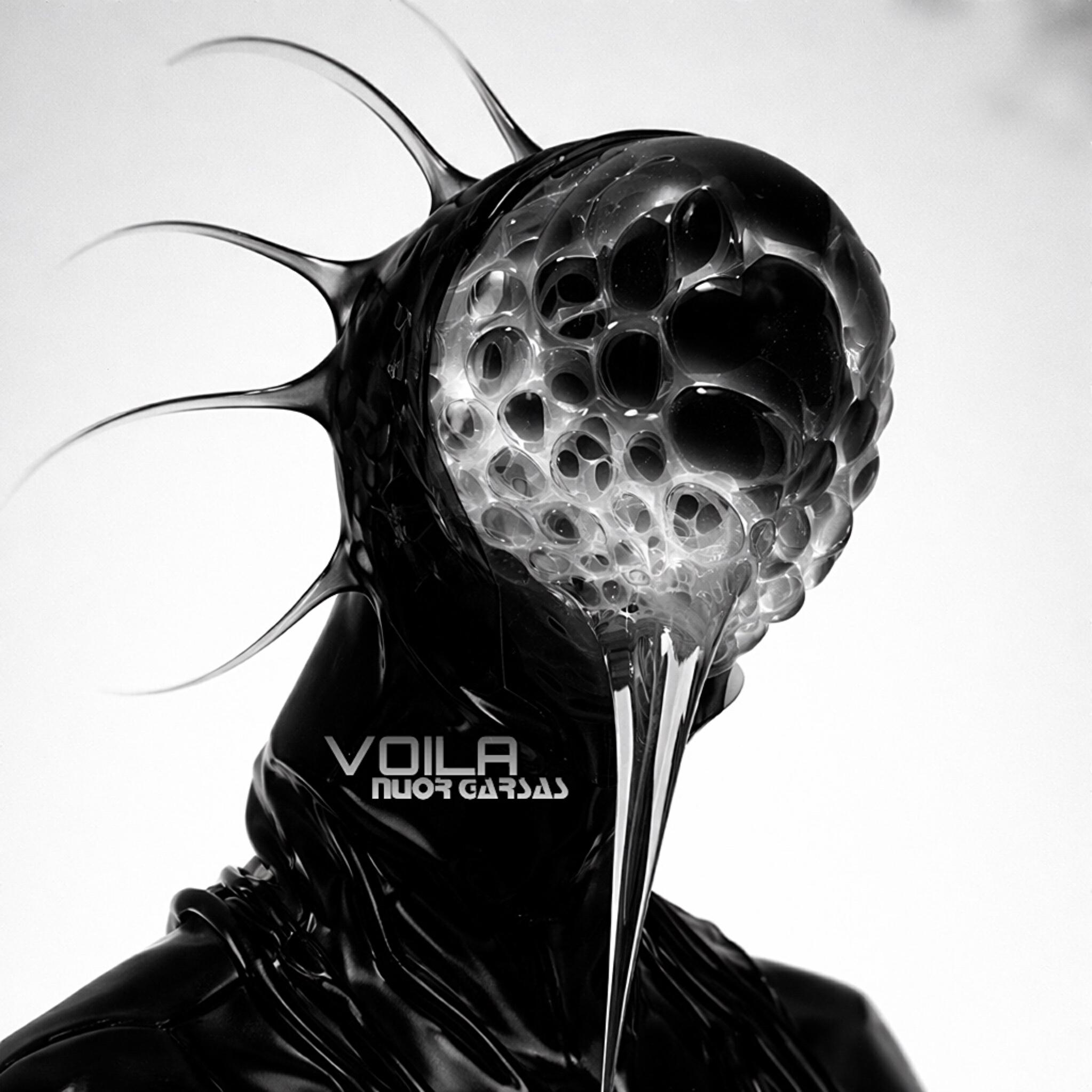 VOILA