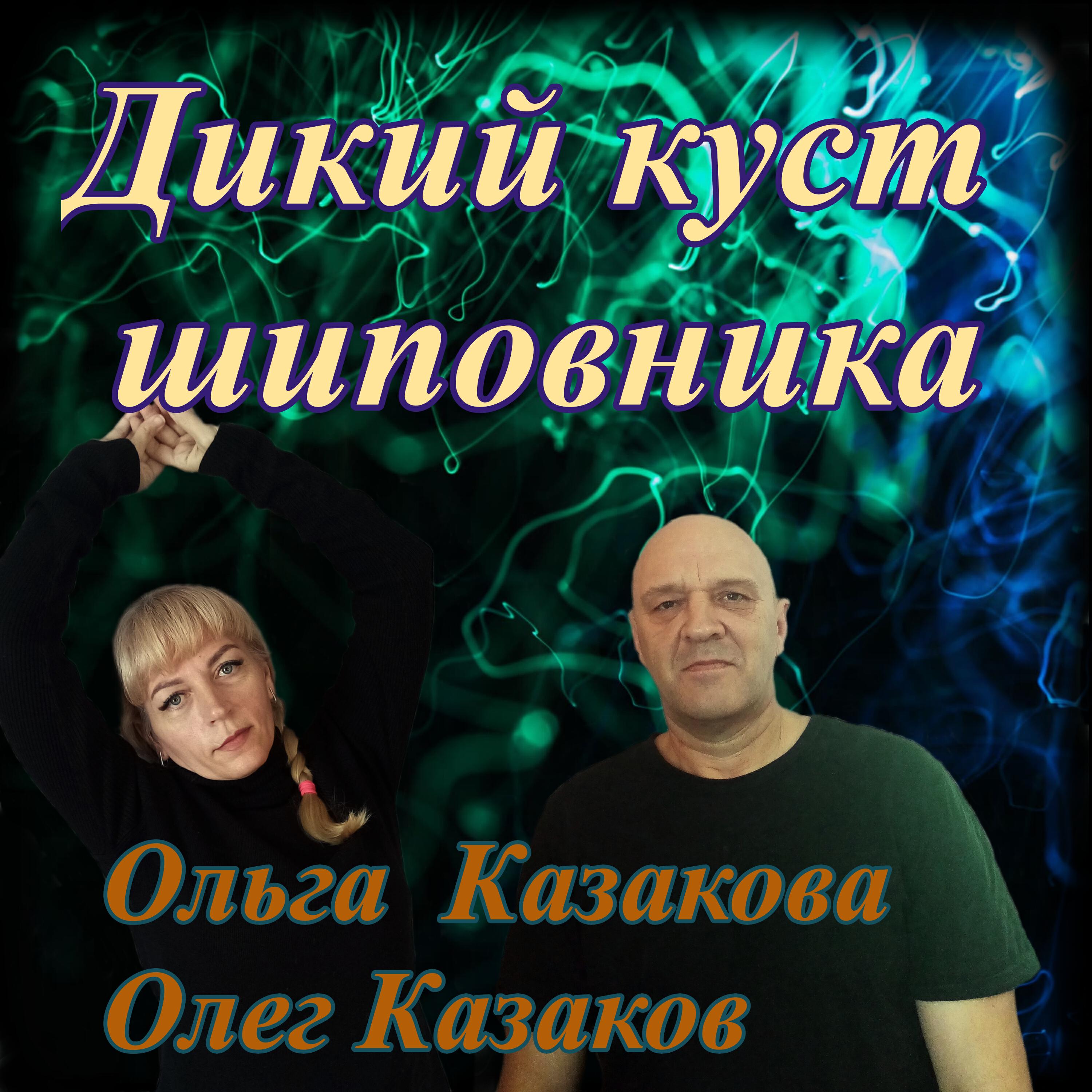 Дикий куст шиповника