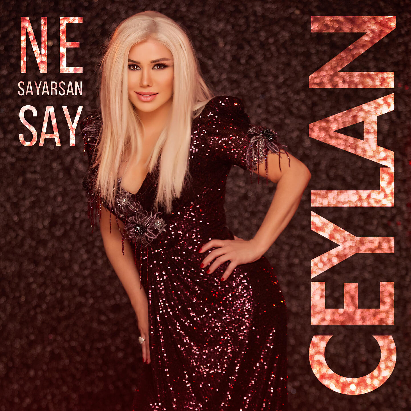 Альбом Ne Sayarsan Say исполнителя Ceylan