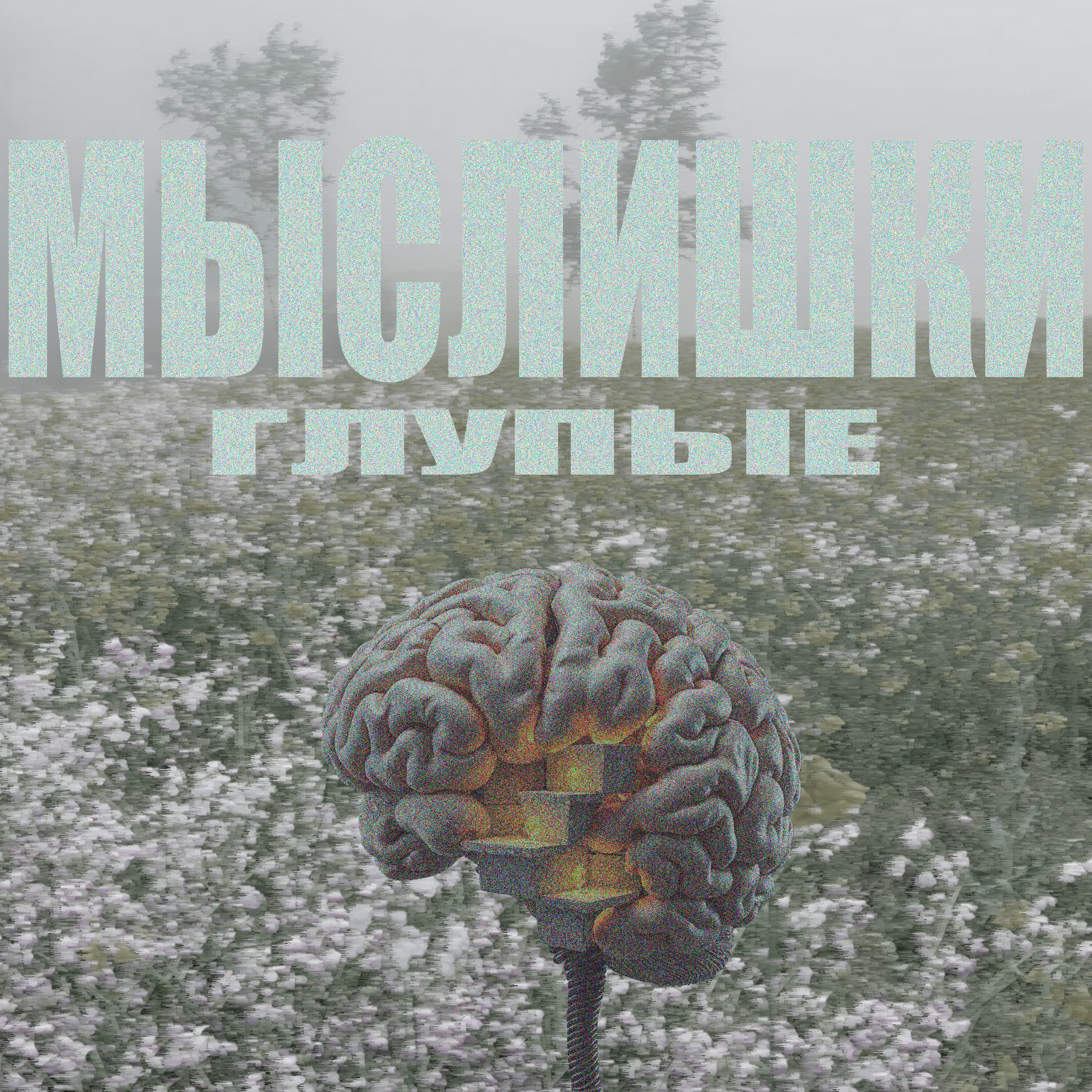 Альбом глупые мыслишки исполнителя verch.fate