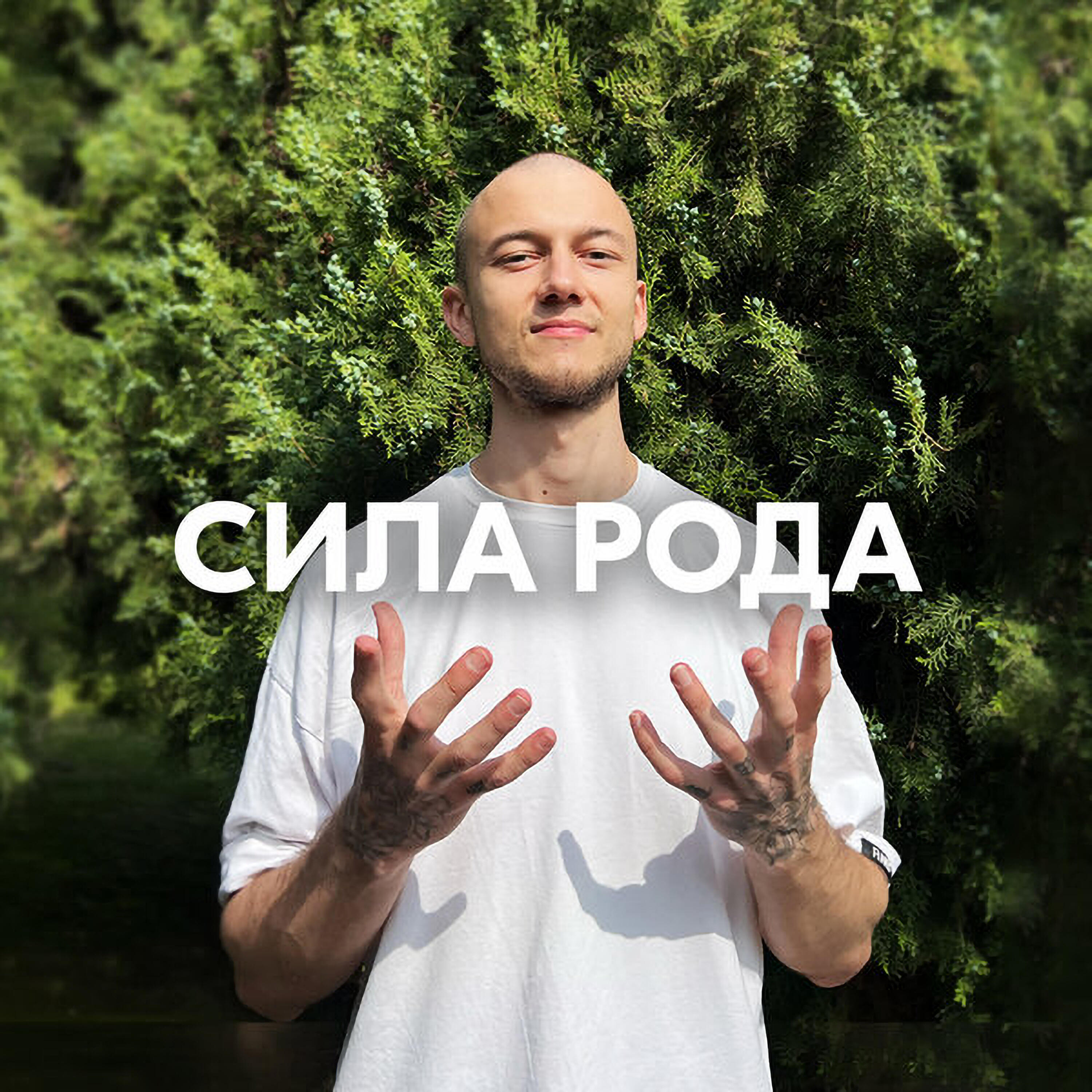 СИЛА РОДА