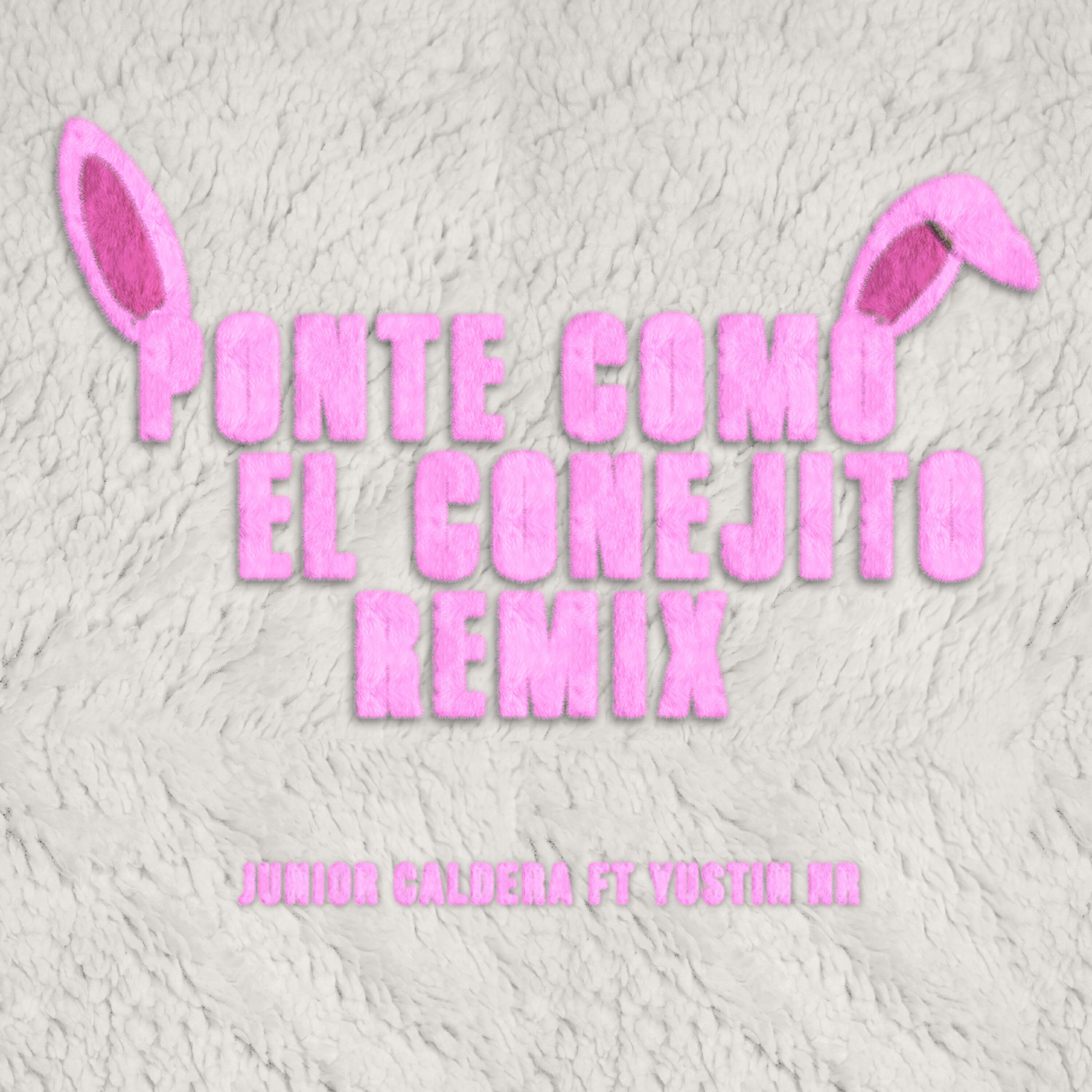 Альбом Ponte como el conejito (Remix) исполнителя Junior Caldera, Yustin NR