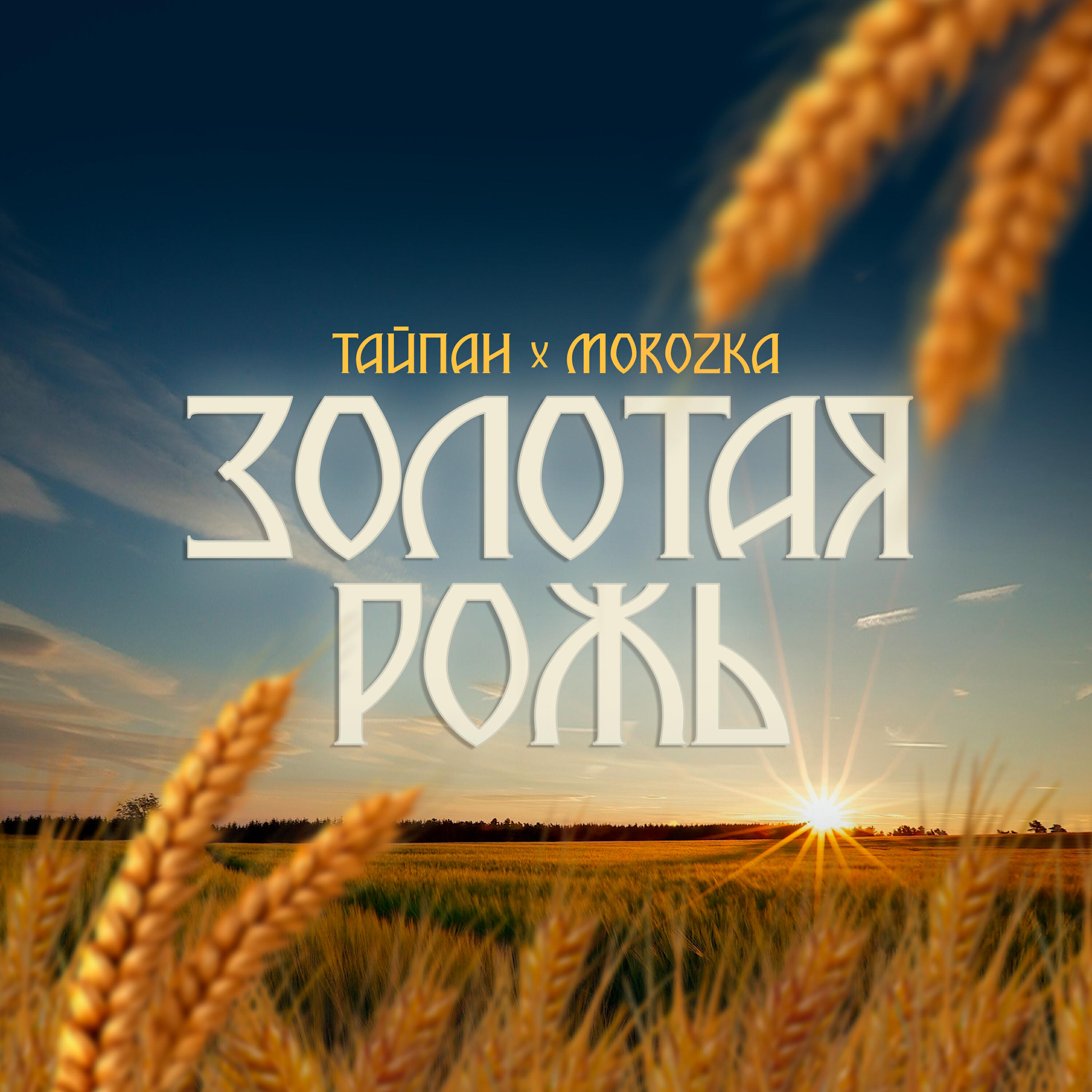 Золотая рожь