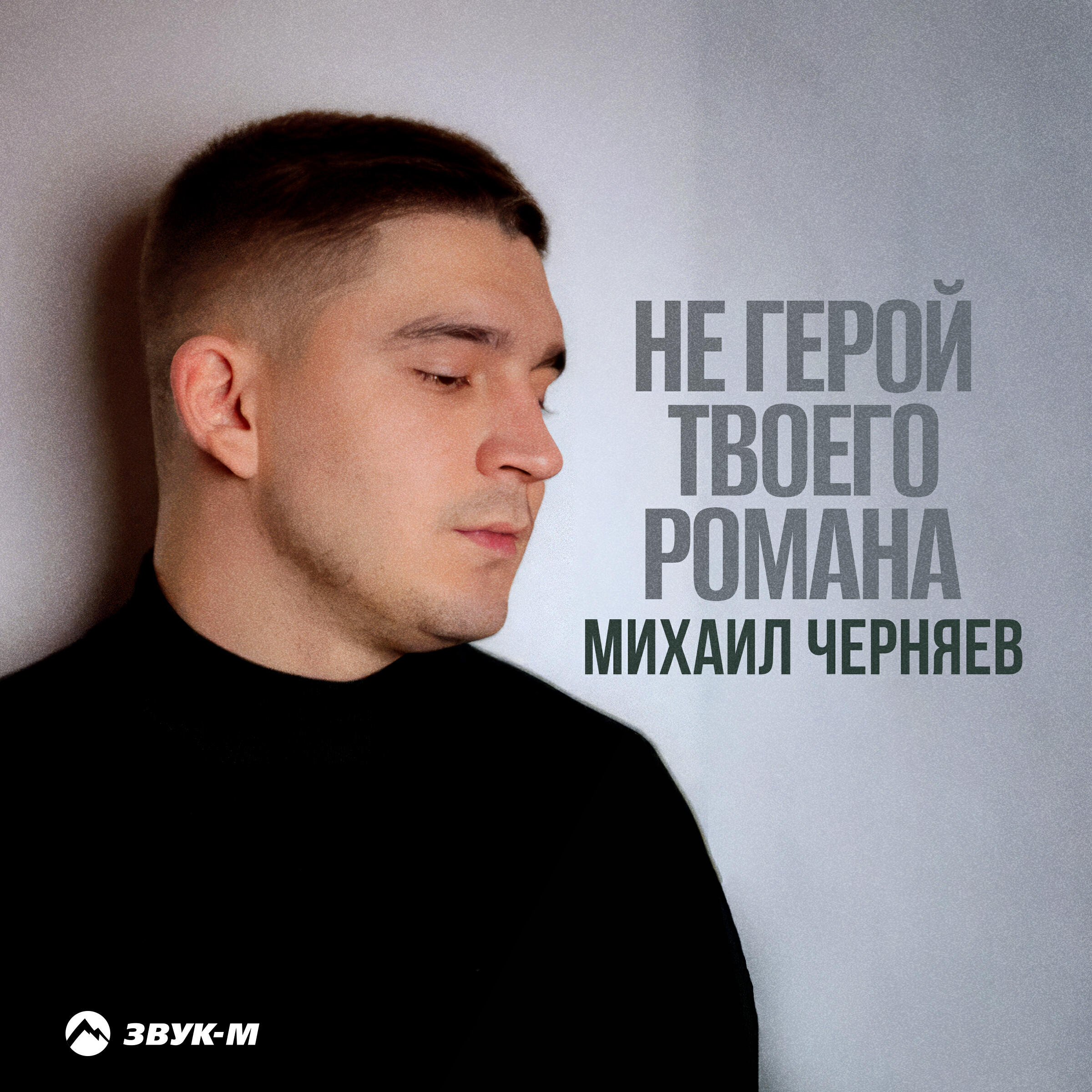 Не герой твоего романа
