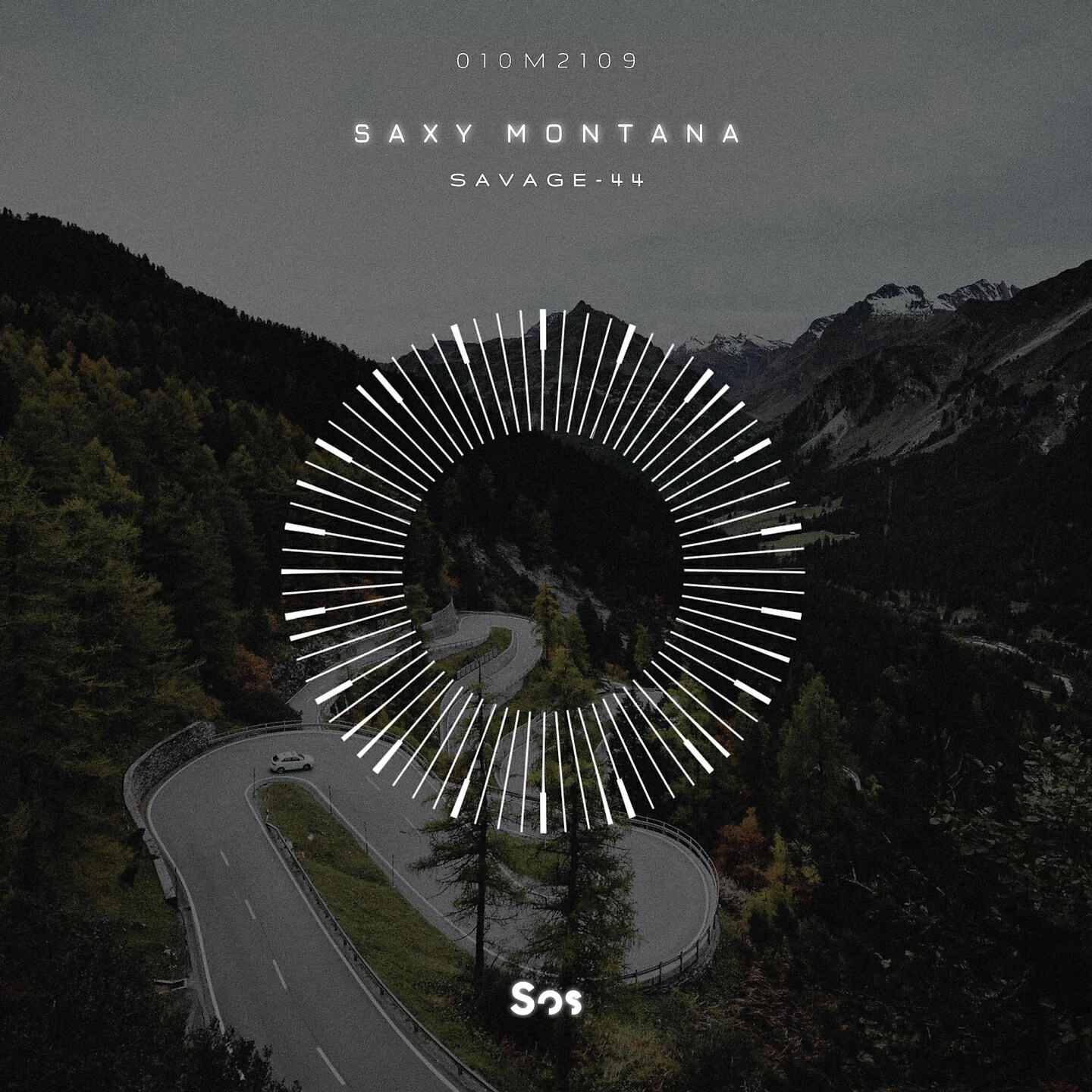Saxy Montana