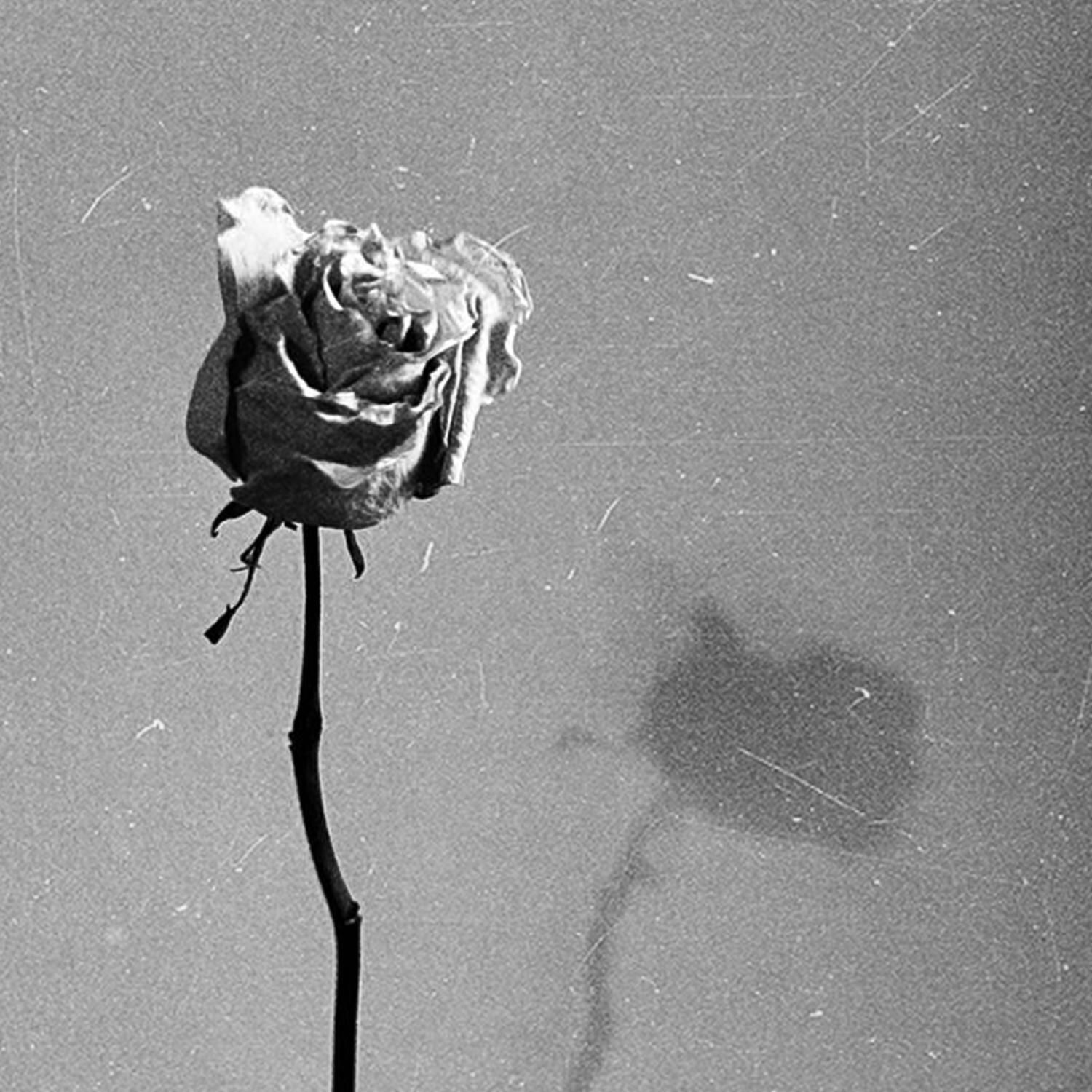 Без тебя (Demo)