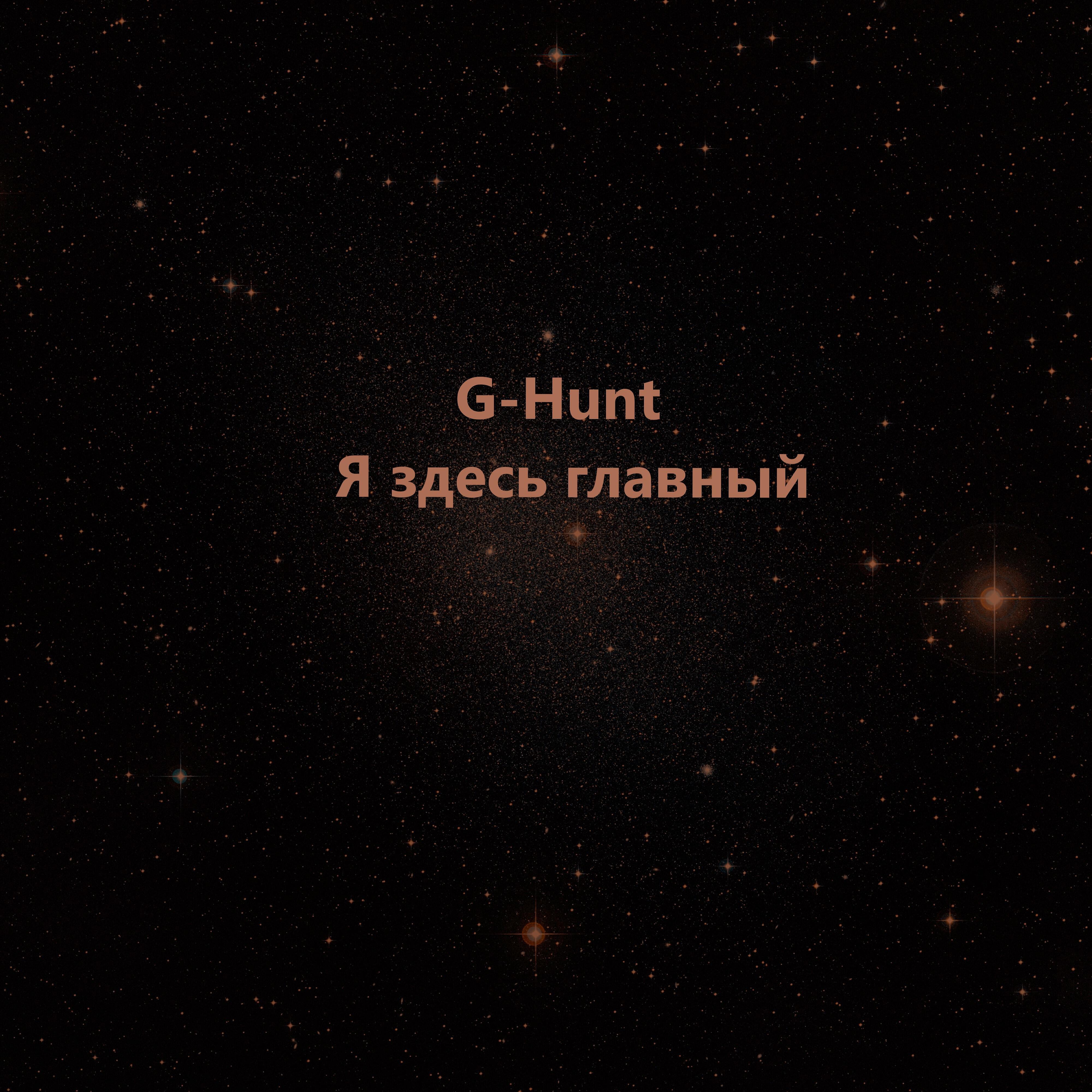 Я здесь главный