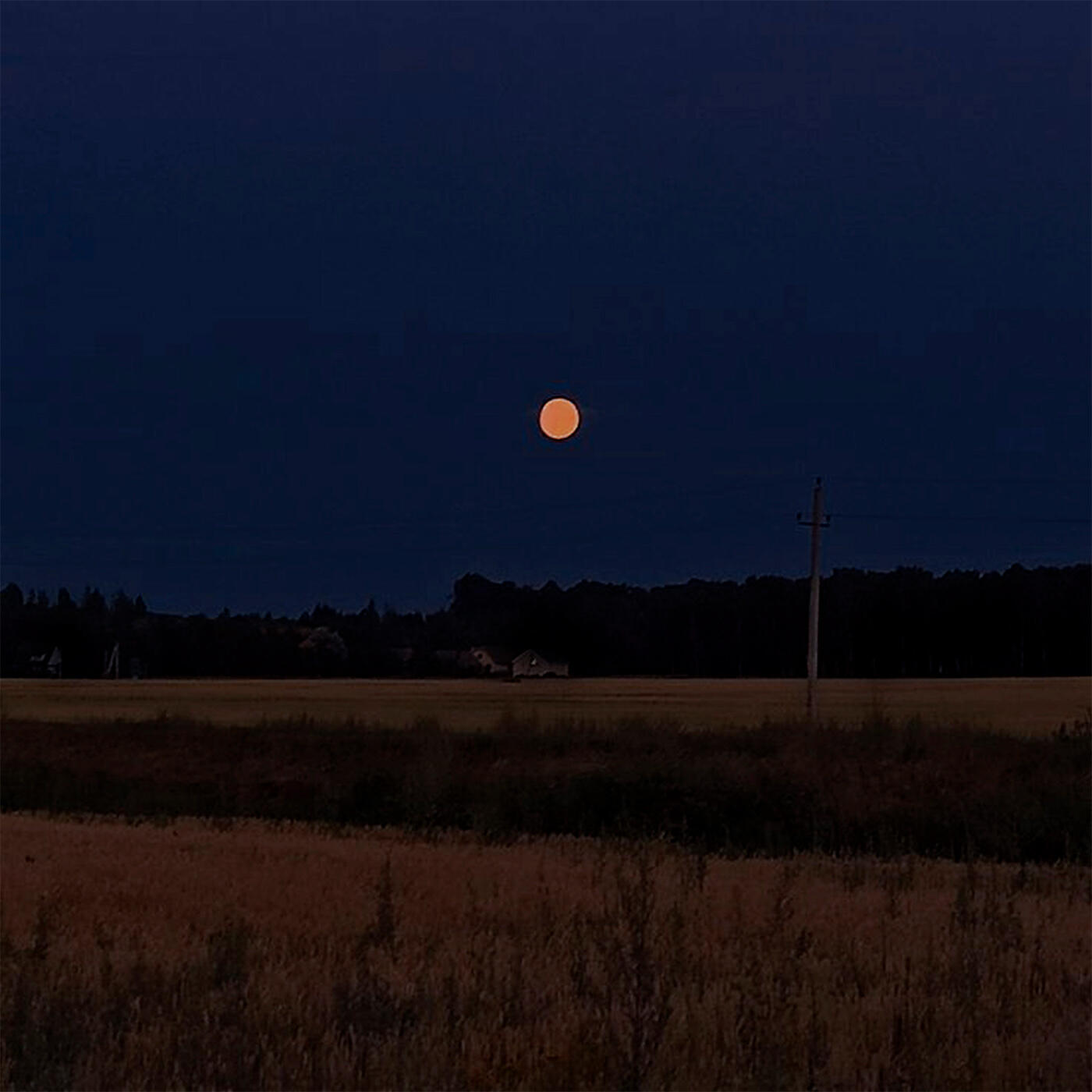 влюбился в луну