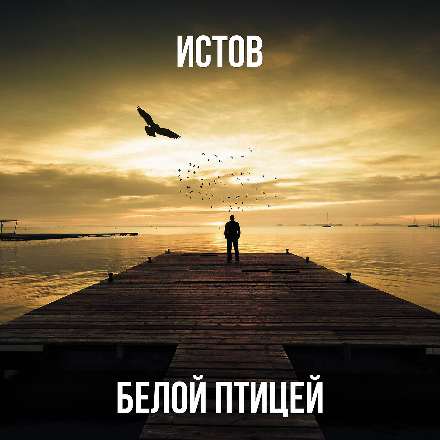 Белой птицей