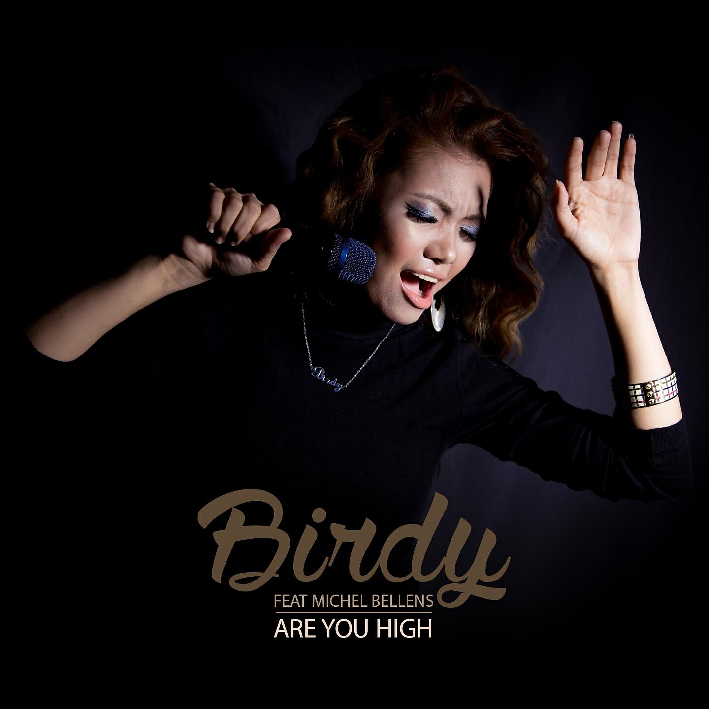 Альбом Are You High исполнителя michel bellens, Birdy