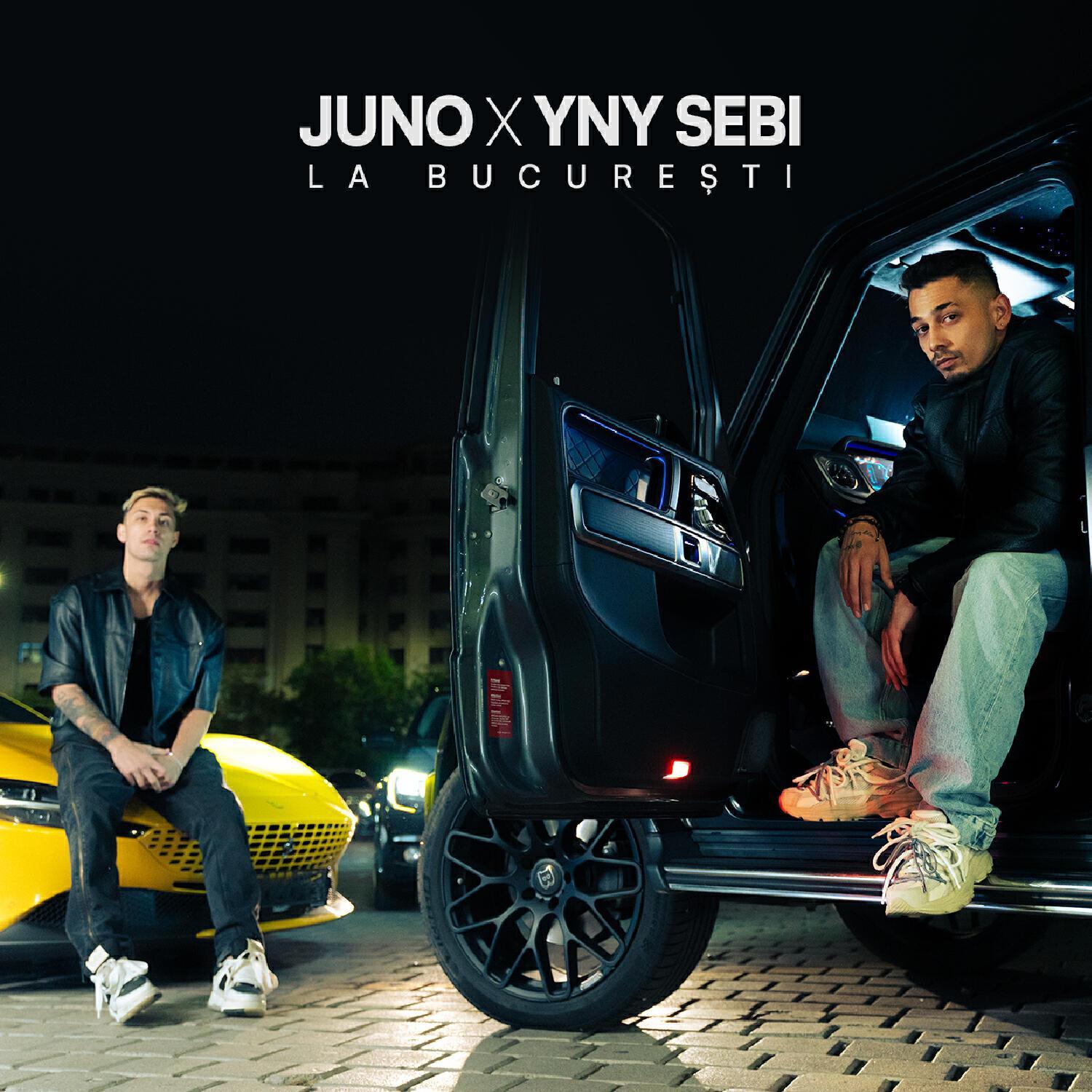 Yny Sebi