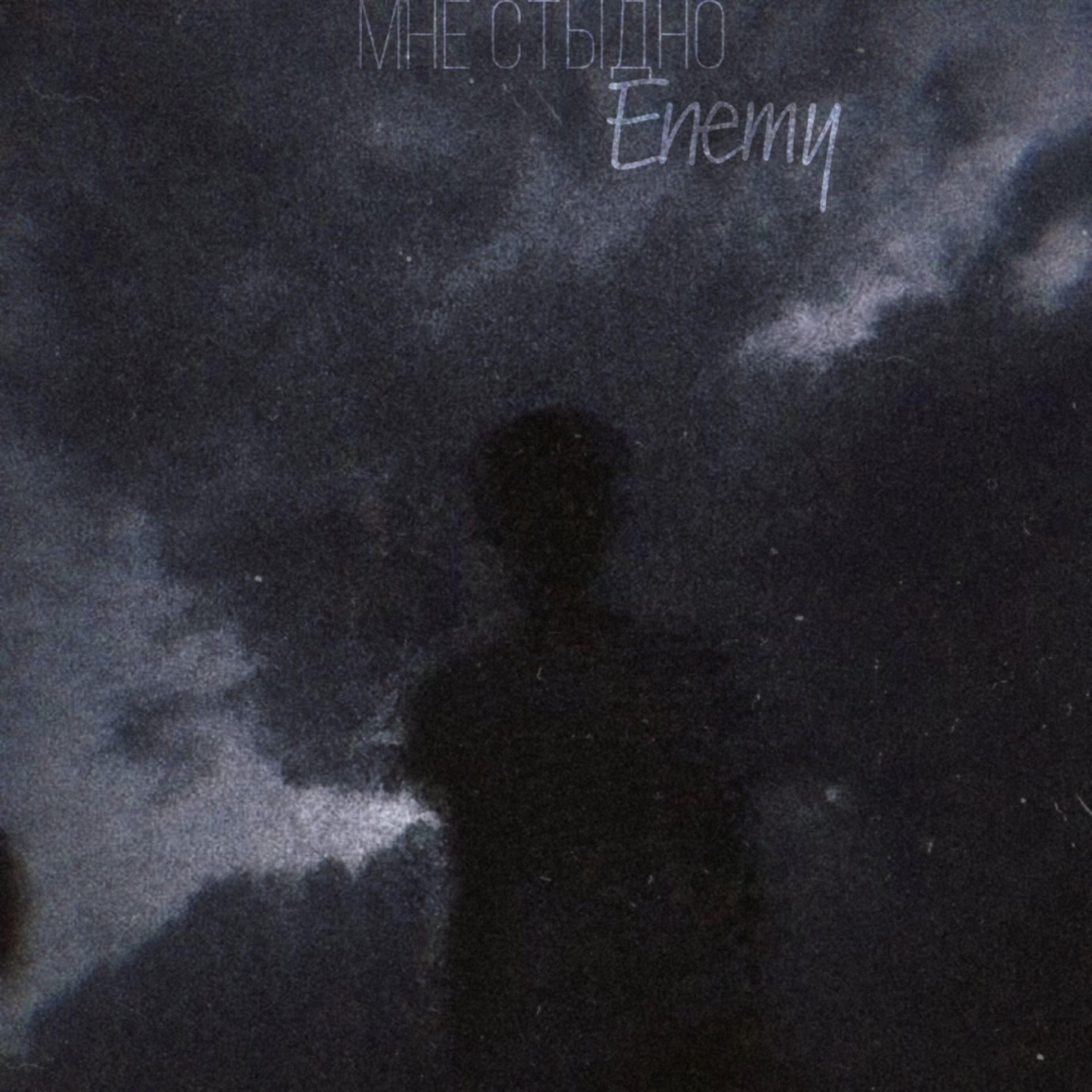 Мне стыдно