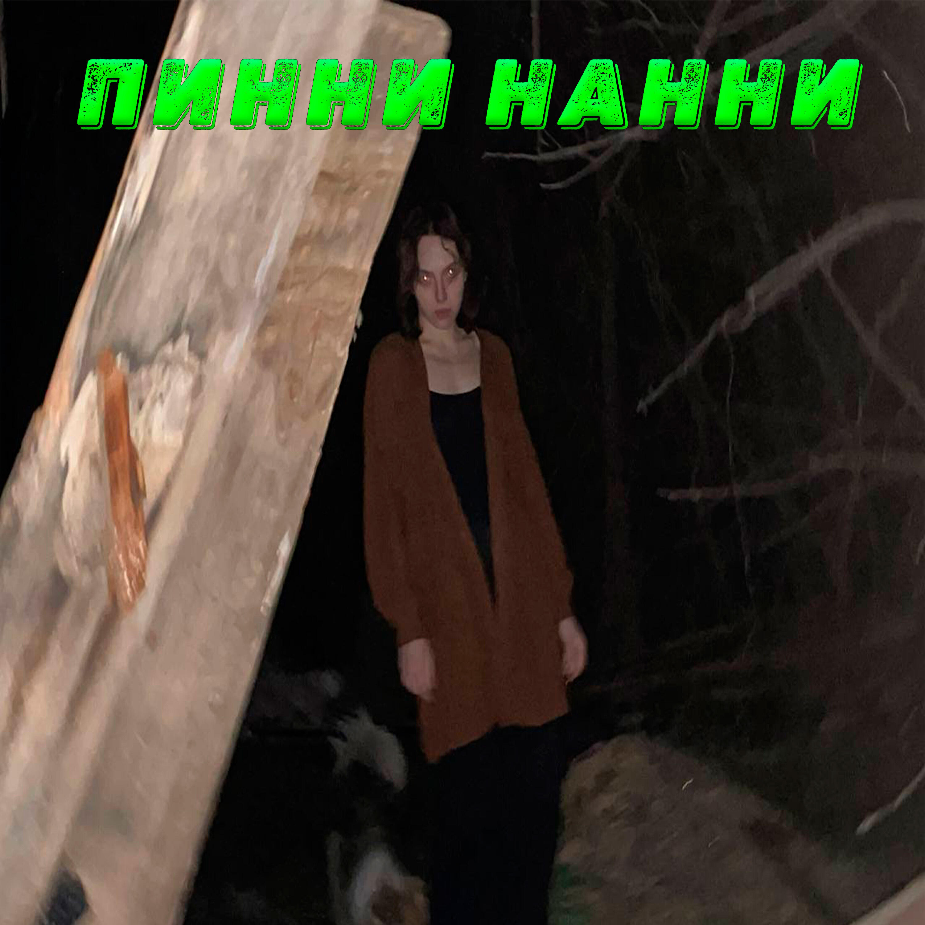 Пинни нанни