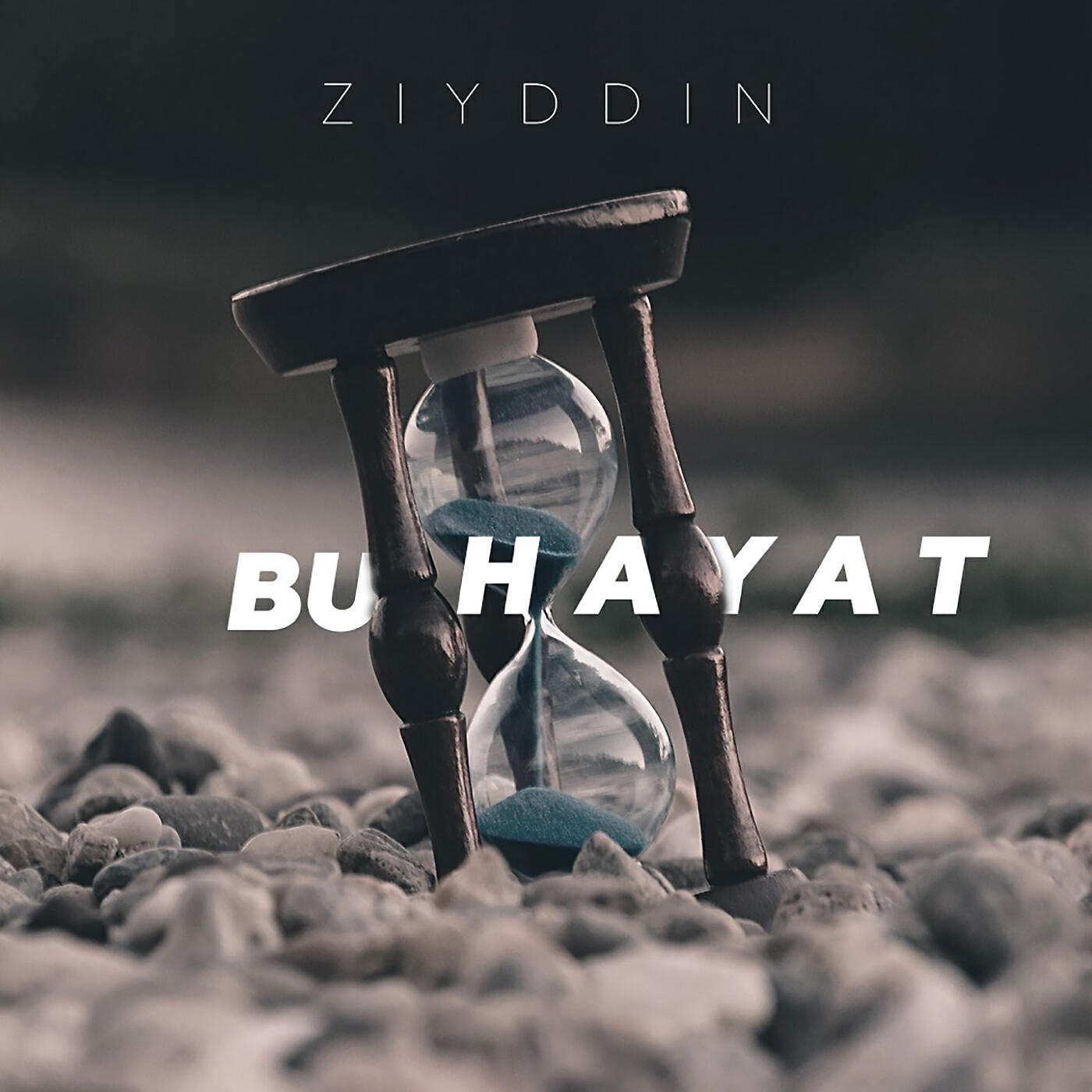 Альбом Bu Hayat исполнителя Ziyddin