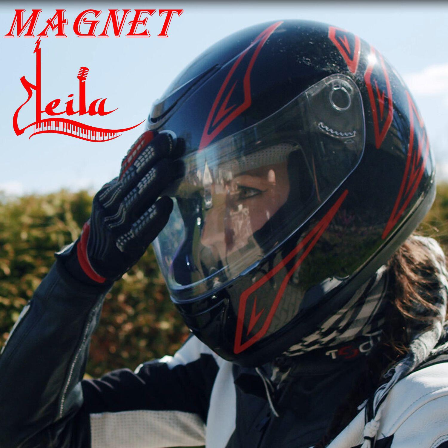 Magnet
