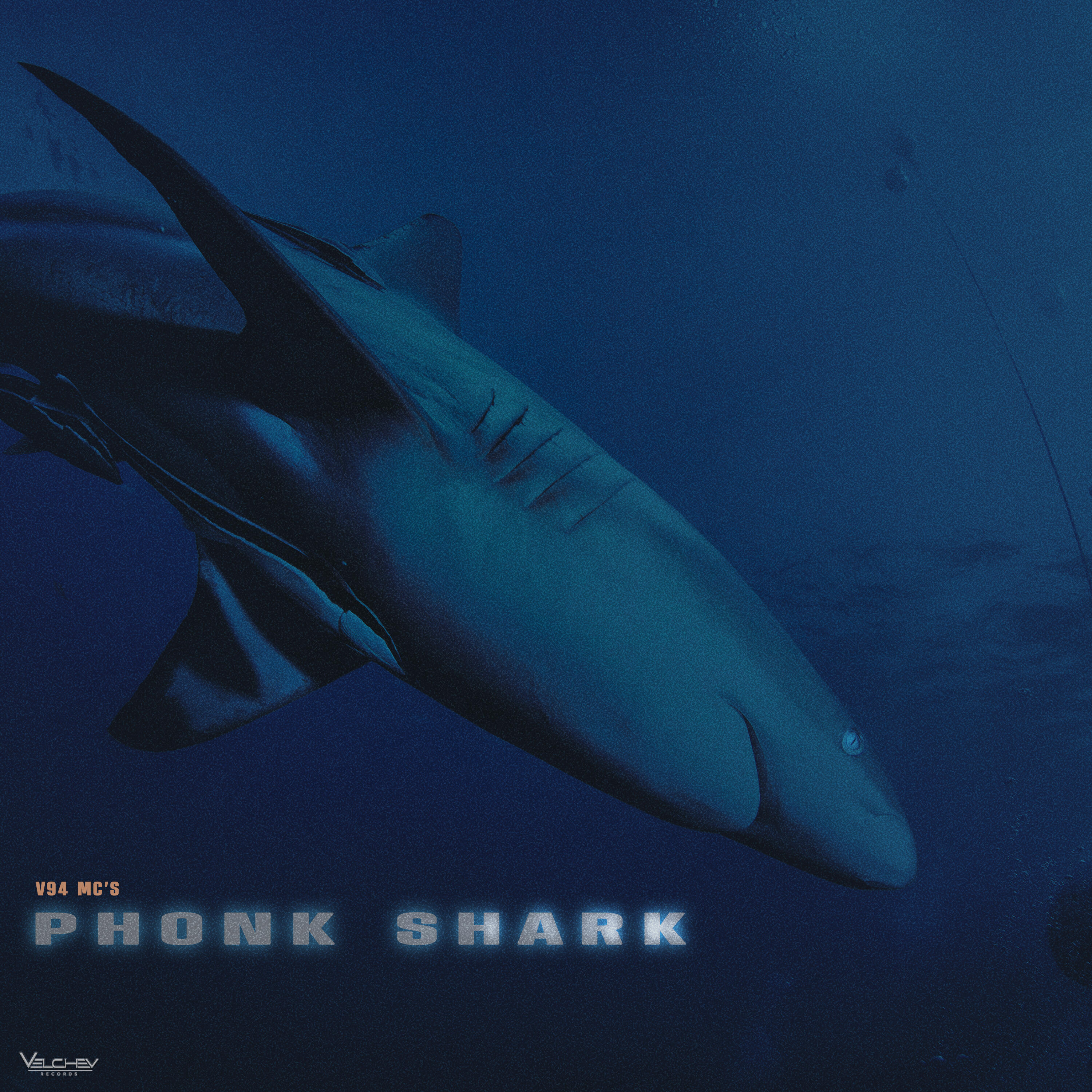 Phonk Shark