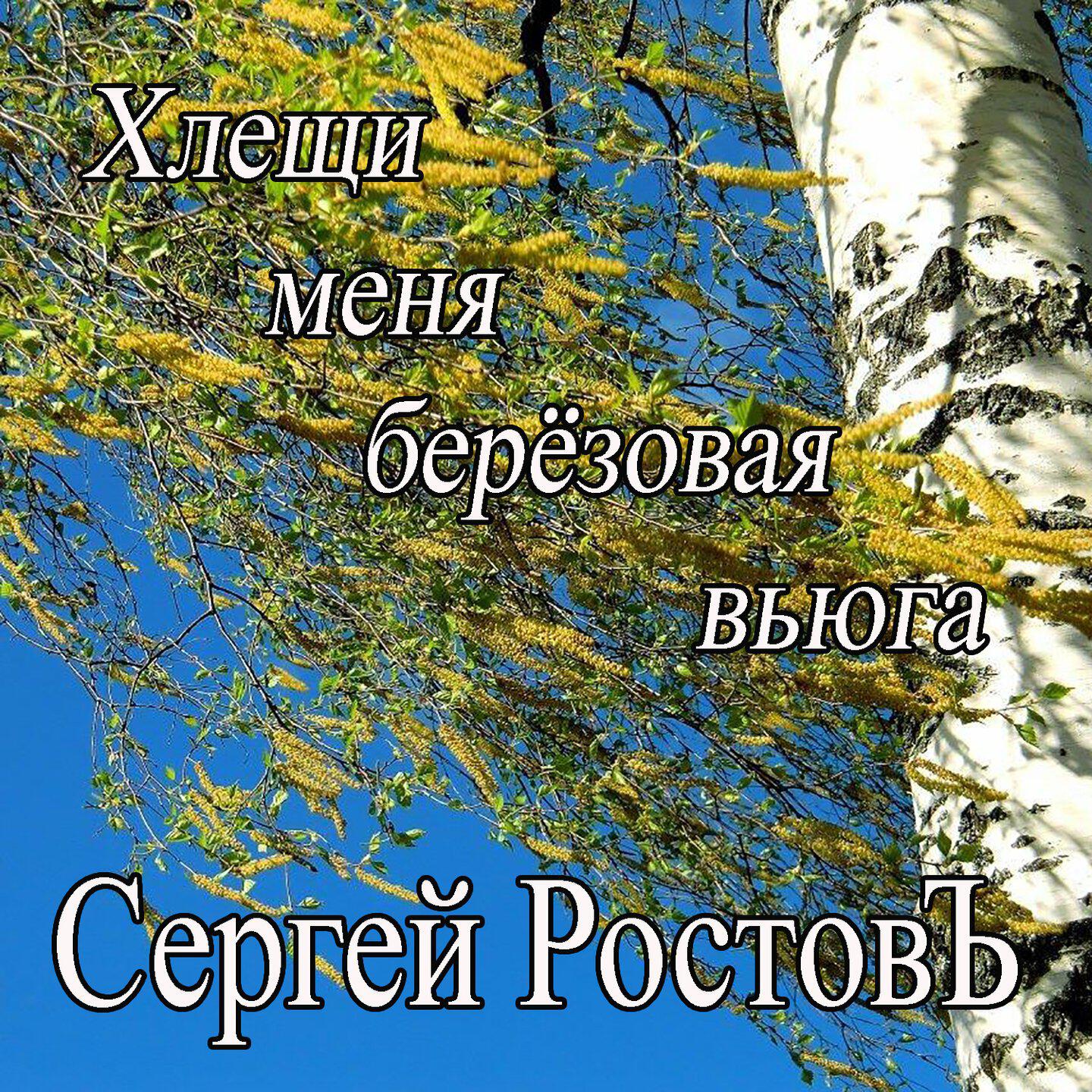 Альбом Хлещи меня берёзовая вьюга исполнителя Сергей Ростовъ