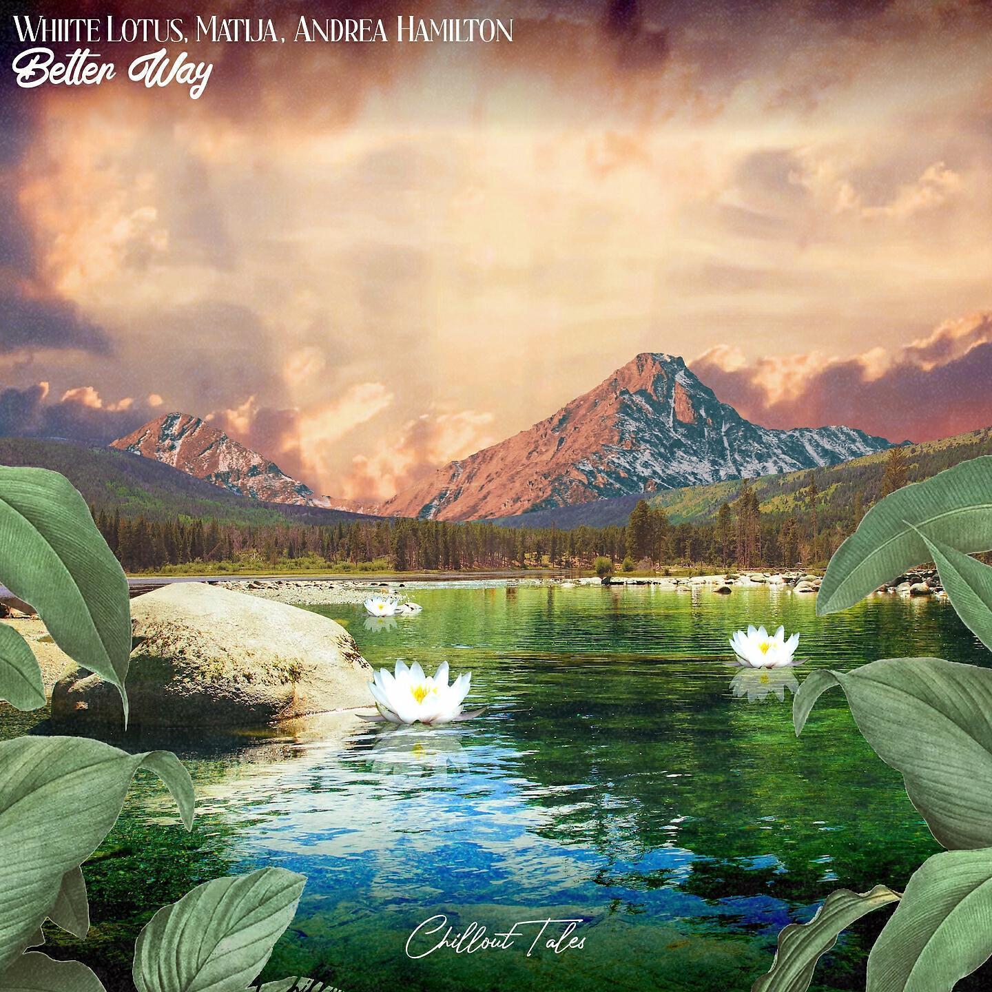Whiite Lotus