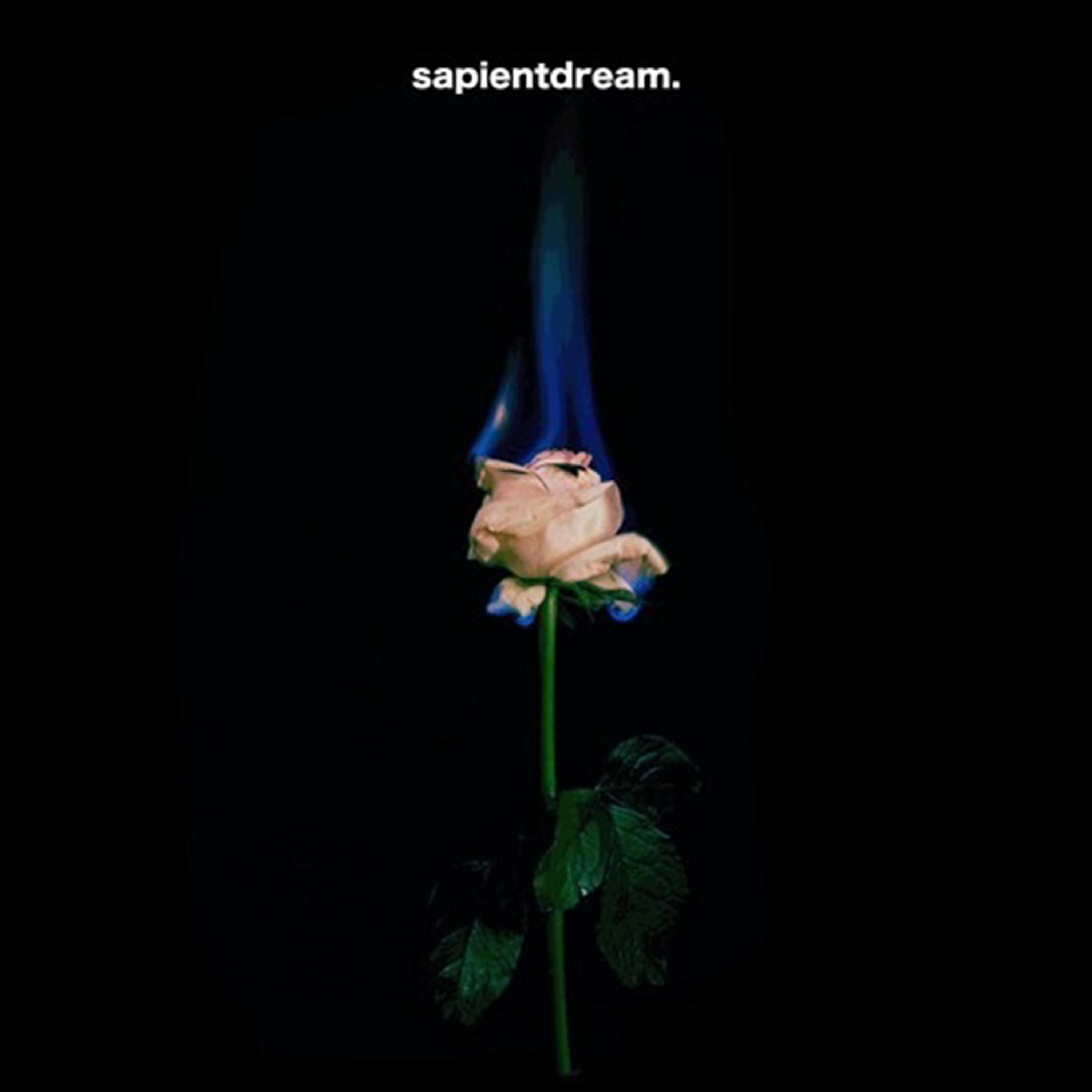 sapientdream