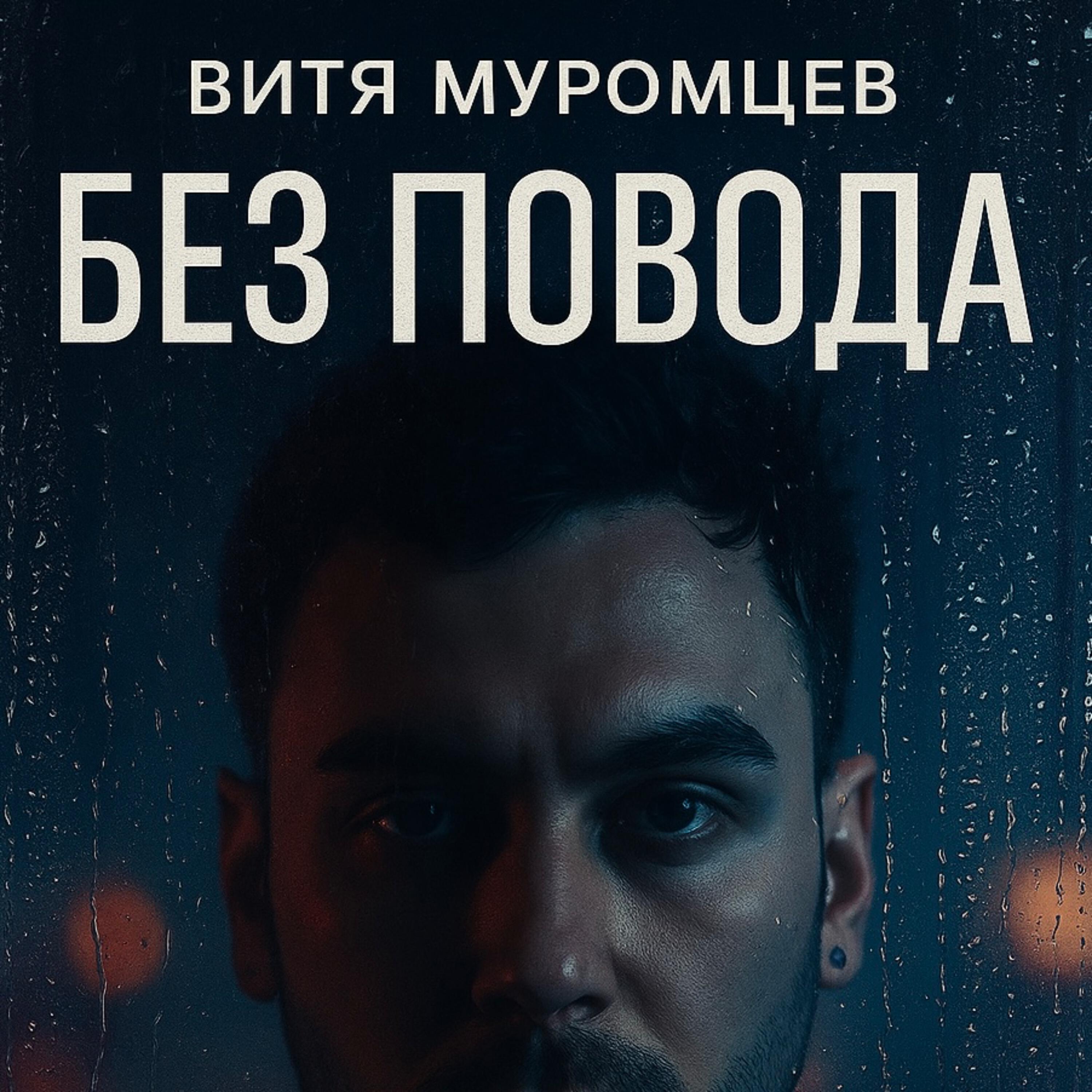 Без повода