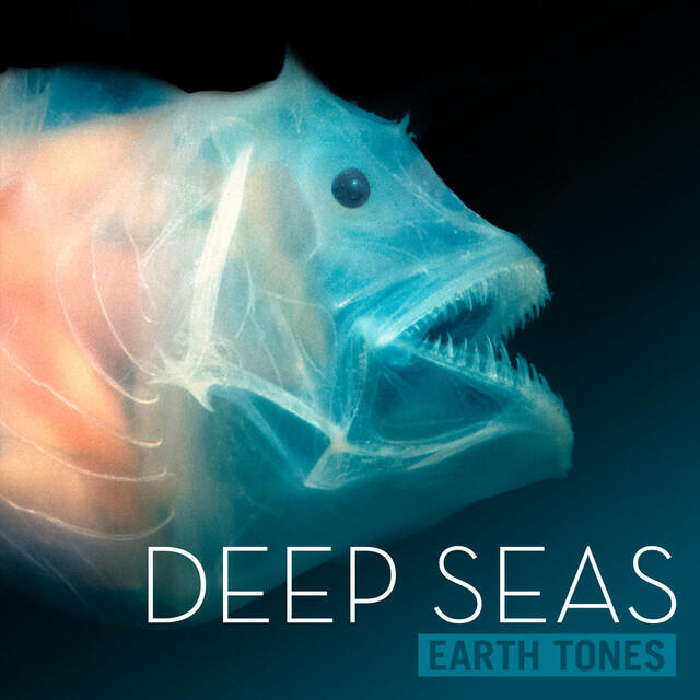 Earth Tones: Deep Seas