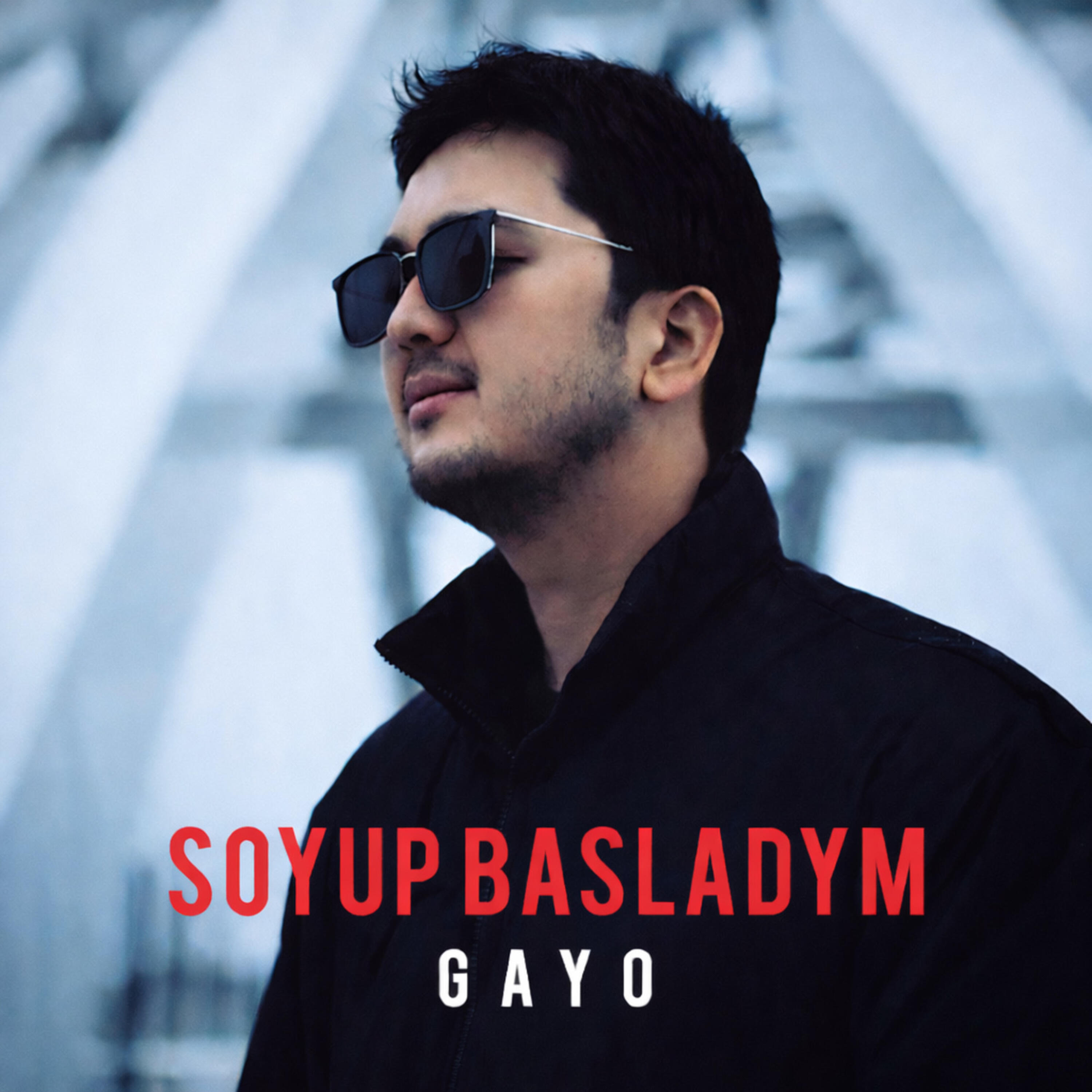 Soyup basladym